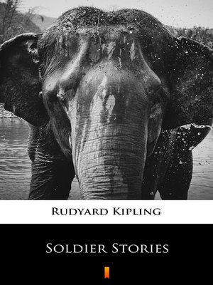 cover image of Soldier Stories